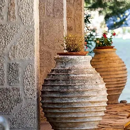 Cleopatra